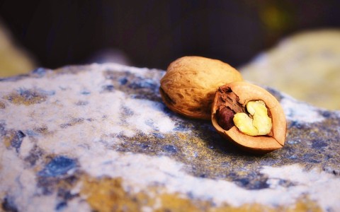 Going Nuts? Here Is Why You Should!