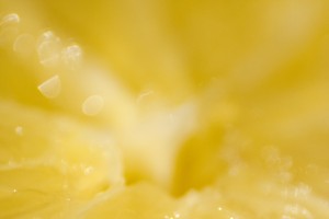 17 lemon yellow-661128